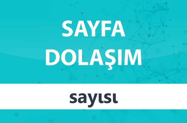 Sayfa Dolaşım Sayısı